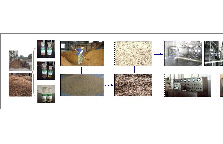 77、成果名稱：蘋果渣高值綜合利用關(guān)鍵技術(shù)