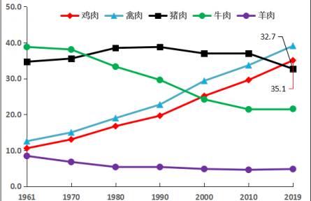 肉雞種業(yè)的昨天、今天和明天