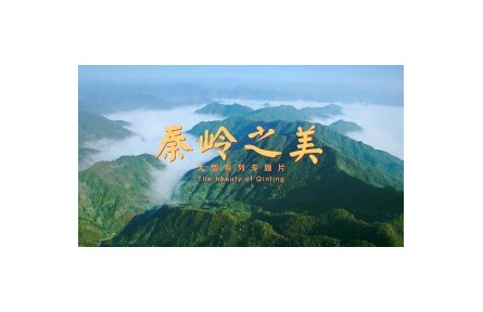 秦嶺之美（三）：秦嶺精靈