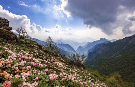 陜西秦嶺太白山——守護(hù)大熊貓最北的家園