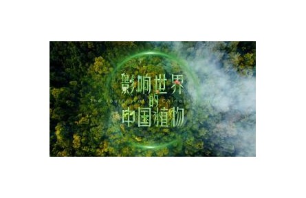 影響世界的中國植物 第2集 水稻