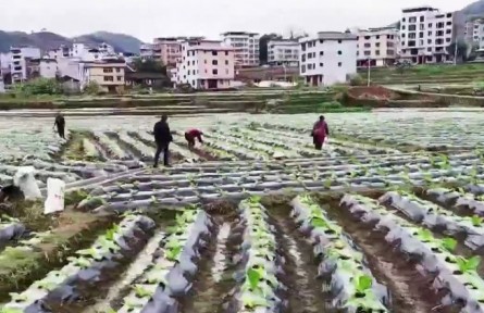 福建：春耕備耕搶農時 蓄力農業(yè)生產“開門紅”