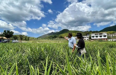 讓百姓的日子越過(guò)越紅火——民生一線觀察