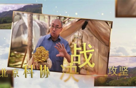 大美科技特派員|北京：劉宇依托蘑菇產業(yè)助力扶貧