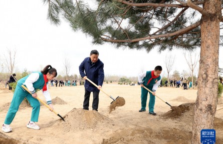 習近平參加首都義務植樹活動