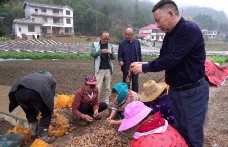 “新農(nóng)人”于斌武：20年大山耕耘 讓硒土地上遍開(kāi)“土豆花”