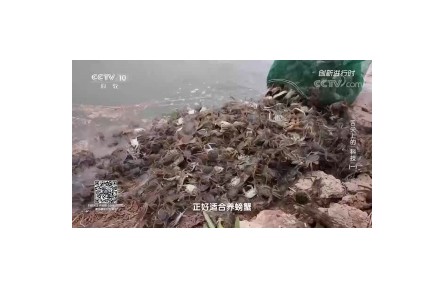 舌尖上的“科技”（一）