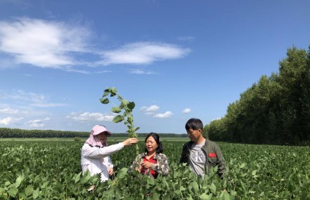 “豆大”的事兒，她一干就是37年