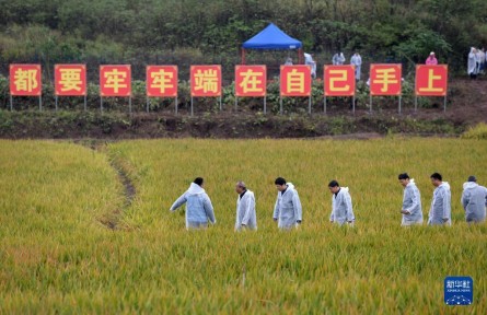 “國家科技創(chuàng)新力的根本源泉在于人”——習(xí)近平關(guān)心科技工作者的故事