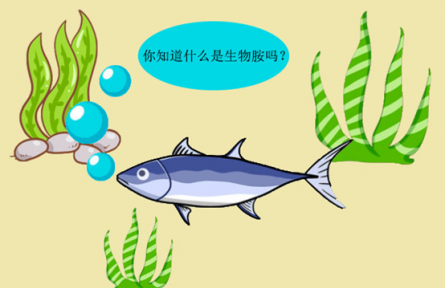 科普 | 生物胺是什么？