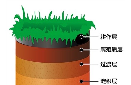 科普 | 黑土地為什么是黑色的？