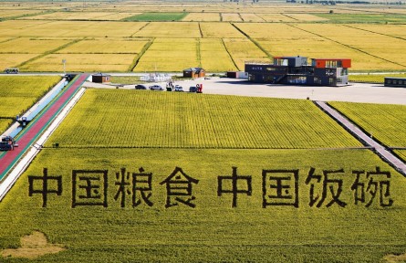 保護(hù)性耕作面積 conservational tillage area