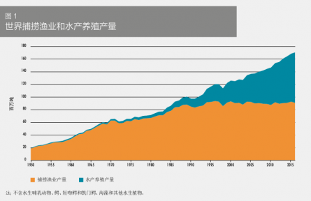 科普 | 在海洋中“放牧”——海洋如何變糧倉(cāng)？