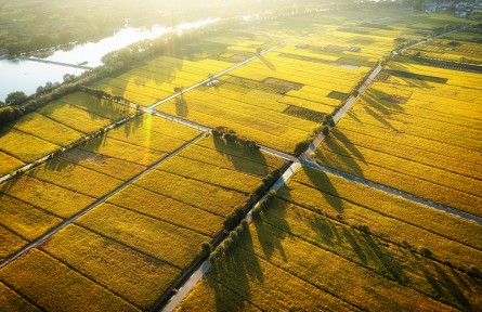 科技名詞 | 灌區(qū)  irrigation district，irrigation area