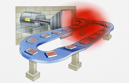 科技名詞 | 輻照食品  irradiated food