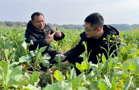 “冬閑人忙”放手干——湖南新型糧油生產(chǎn)經(jīng)營主體新春走訪見聞