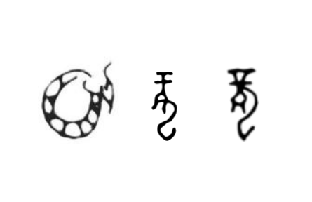 咬文嚼字 |“龍”，你到底是什么？