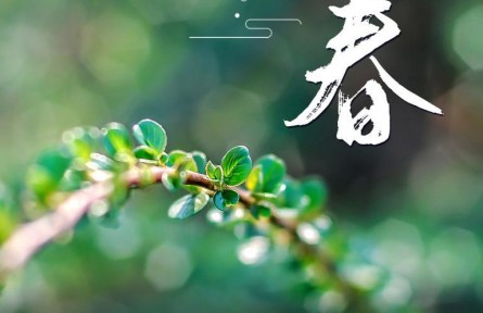 立春：和風(fēng)待柳芳