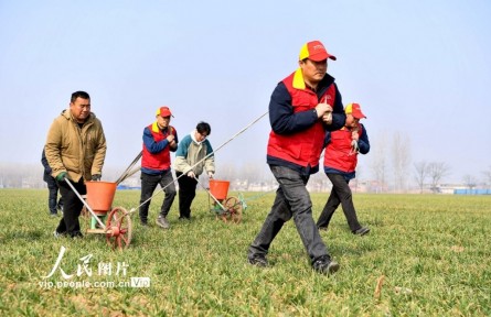 早春農(nóng)事忙