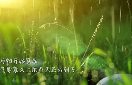 雨水：迎一場春雨 等一片花開