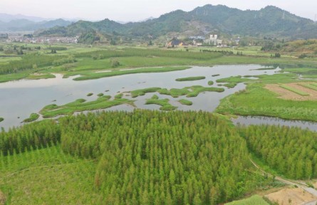 浙江杭州：面向共同富裕的鄉(xiāng)村規(guī)劃實(shí)踐