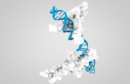 科技名詞 | 蛋白質(zhì)工程  protein engineering