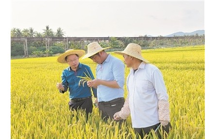 40年南北遷徙，育種人無問西東——記江蘇里下河地區(qū)農(nóng)業(yè)科學(xué)研究所水稻育種團隊