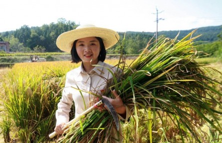 中國青年五四獎?wù)隆鲍@得者鄧小燕：“燕兒”歸來稻更香