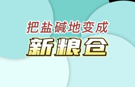 國(guó)家鹽堿地綜合利用技術(shù)創(chuàng)新中心：把鹽堿地變成“新糧倉(cāng)”