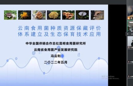 中華全國供銷合作總社昆明食用菌研究所“云南食用菌種質(zhì)資源收集保存、鑒定評價和生態(tài)促繁技術(shù)應(yīng)用”成果評價公告【2022（47號）】