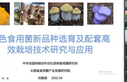 中華全國供銷合作總社昆明食用菌研究所“特色食用菌新品種選育及配套高效栽培技術(shù)創(chuàng)新與產(chǎn)業(yè)化應(yīng)用”成果評價公告【2022（48號）】