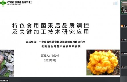 中華全國供銷合作總社昆明食用菌研究所“特色食用菌采后品質(zhì)調(diào)控及關(guān)鍵加工技術(shù)推廣應(yīng)用”成果評價公告【2022（50號）】