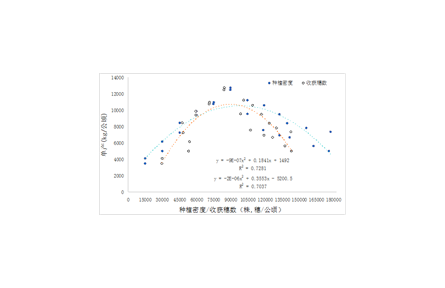 10.密植夏玉米籽粒機械收獲生產技術規(guī)程