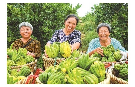 田頭多了“大冰箱”