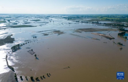 記者五常農(nóng)田實地探訪：強降雨對五常大米有何影響？