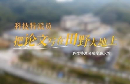 【教學(xué)點·云上看】科技特派員：把論文寫在田野大地上