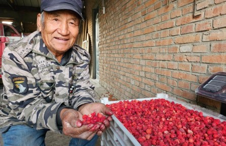 黑龍江甘南：?？h共建 為農(nóng)業(yè)插上科技的翅膀