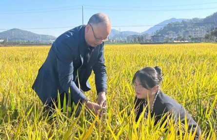 選調(diào)生董瀅璐：土地從不辜負每一顆奮斗的種子