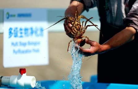 全國首個液化天然氣冷能養(yǎng)殖示范項目出魚