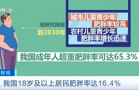 “不吃主食”“光靠運動”是減肥誤區(qū)！