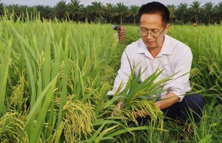 楊華德：因?yàn)樽约毫苓^雨，所以也想為別人撐傘