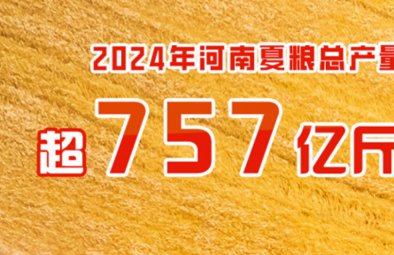 2024年河南夏糧總產(chǎn)量超757億斤 實(shí)現(xiàn)增產(chǎn)豐收