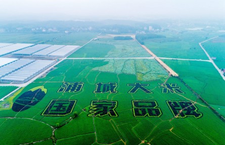 福建浦城：科技賦能，大米產(chǎn)業(yè)邁進(jìn)數(shù)字化時(shí)代