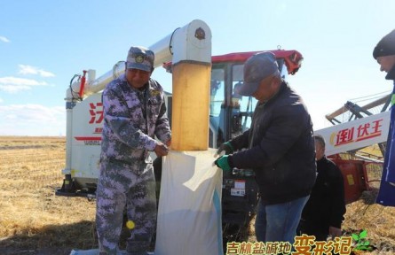 破“堿”重生！吉林鹽堿地變形記