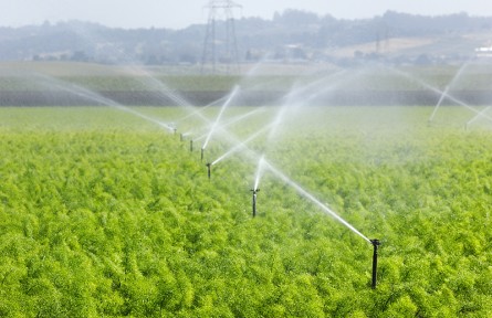 科技名詞|灌溉水源 water source for irrigation