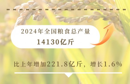 九個維度看2024農業(yè)領域交出亮眼成績單