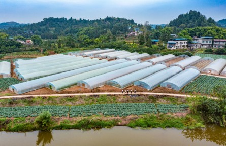 結對蹲點 與榜樣同行|何波：干群一致，沒有辦不好的事