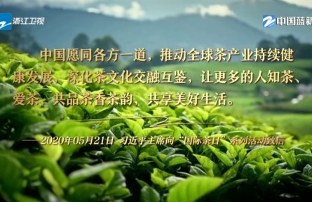 第一視點|一片葉子如何泡出兩種新味