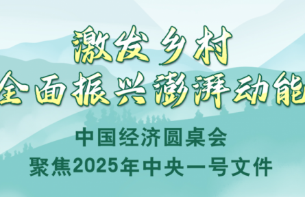 激發(fā)鄉(xiāng)村全面振興澎湃動能——中國經(jīng)濟圓桌會聚焦2025年中央一號文件