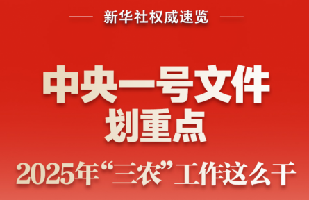 中央一號(hào)文件劃重點(diǎn)，2025年“三農(nóng)”工作這么干